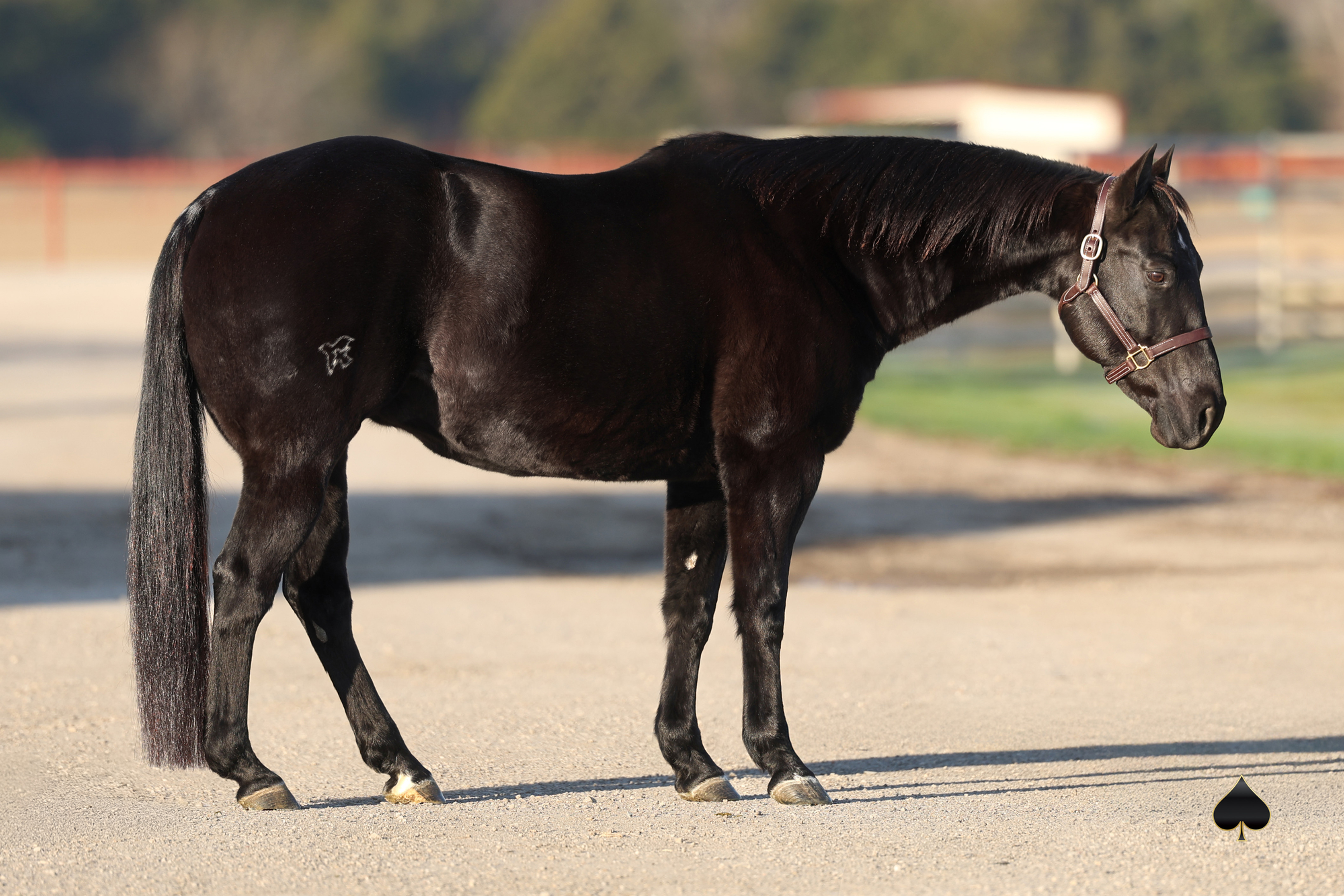 Highly Unlimited | Select Genes